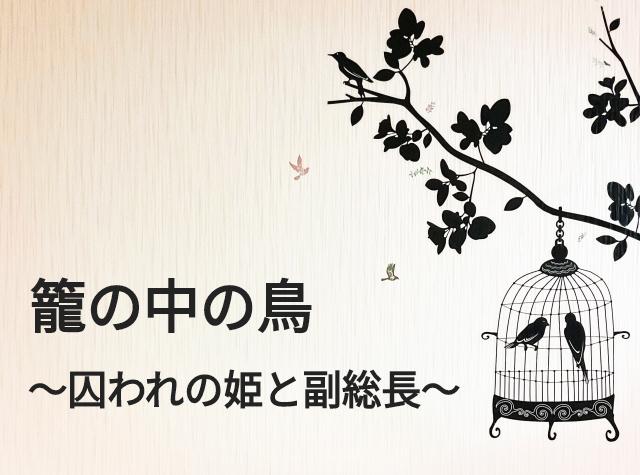 籠の中の鳥 〜囚われの姫と副総長〜