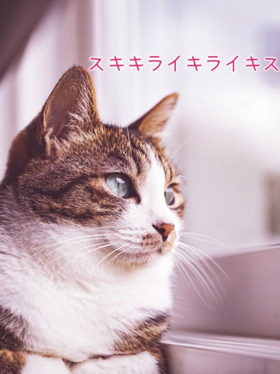 【短】スキキライキライキス