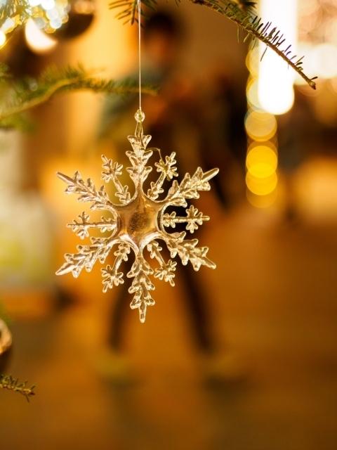 吸血鬼の栄養学、狼男の生態学