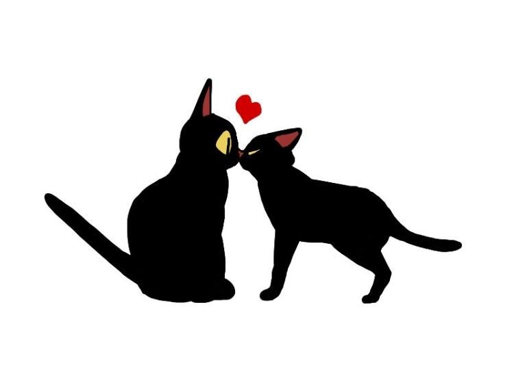 猫かぶりな伯爵の灰かぶりな花嫁