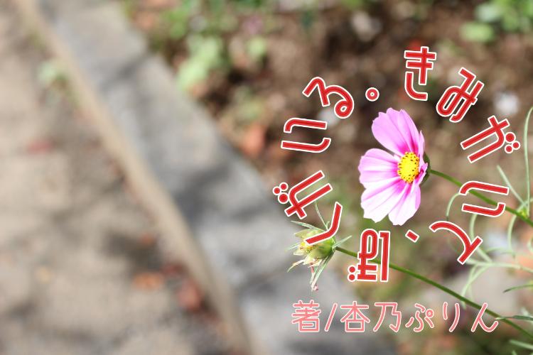 君がいて、僕がいる。