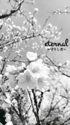 eternal〜守りし者〜
