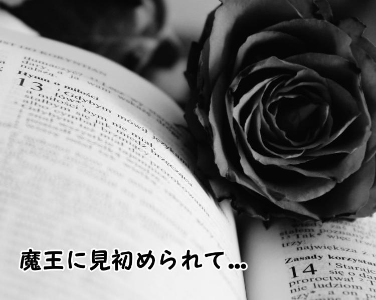 魔王に見初められて…