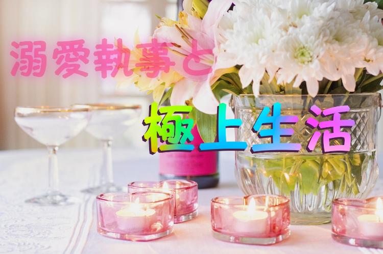 溺愛執事と極上生活