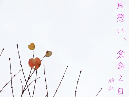 片想い、余命２日