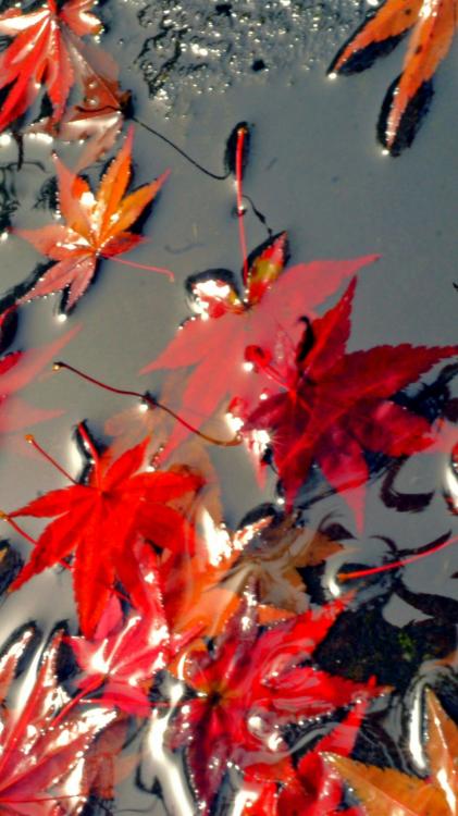 千年の眠りから覚めれば