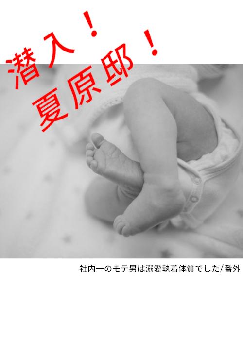 潜入！夏原邸！～社内一のモテ男は溺愛執着体質でした～番外