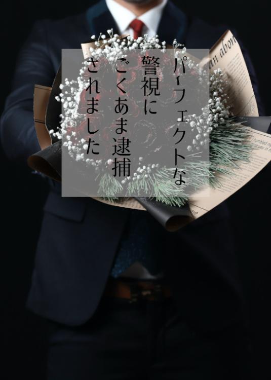 パーフェクトな警視にごくあま逮捕されました