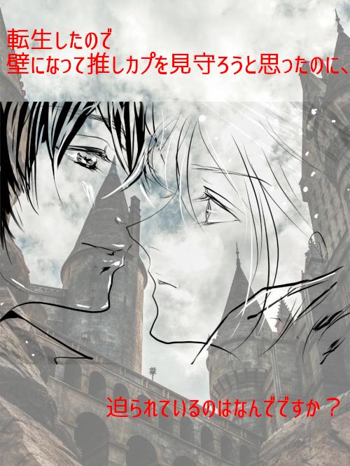 転生したので壁になって推しカプを見守ろうと思ったのに、迫られているのはなんでですか？【プロット】