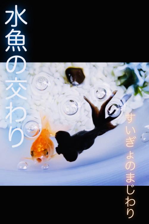 水魚の交わり  すいぎょのまじわり