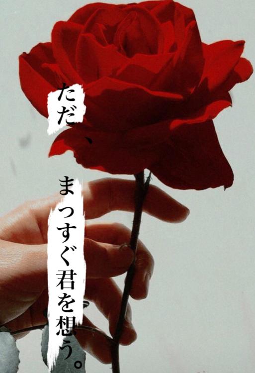 ただ、まっすぐ君を想う。