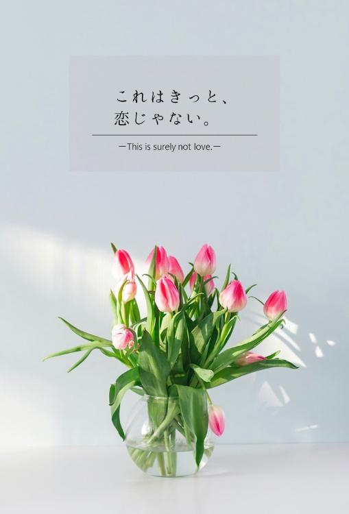 これはきっと、恋じゃない。