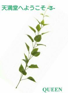 天満堂へようこそ－３－