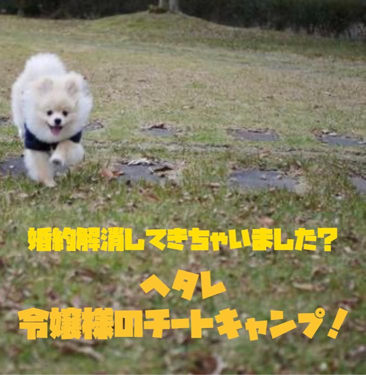 婚約解消してきちゃいました?ヘタレ令嬢様のチートキャンプ!