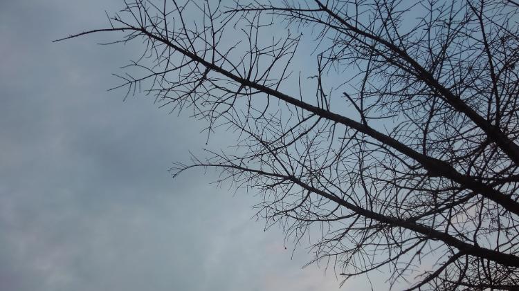 僕ら死神の仕事