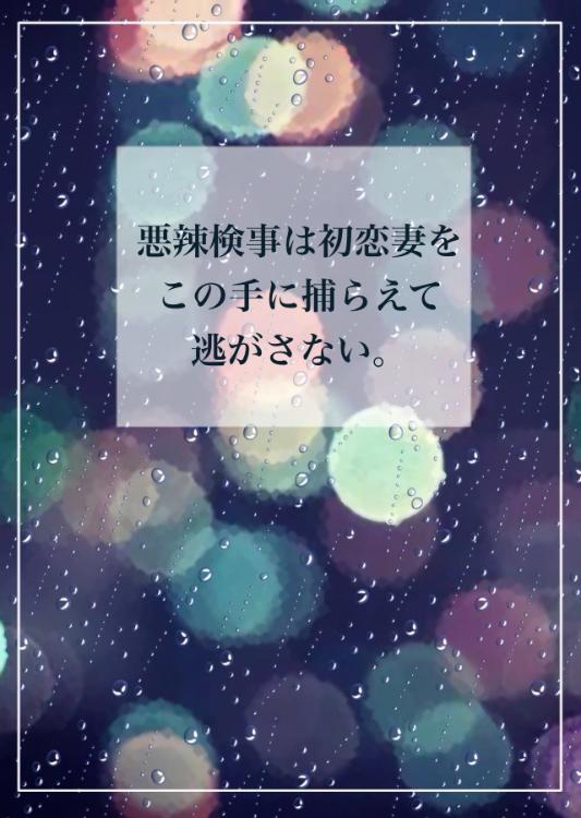 悪辣検事は初恋妻をこの手に捕らえて逃がさない。