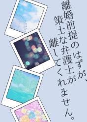 離婚前提のはずが、策士な弁護士が離してくれません。