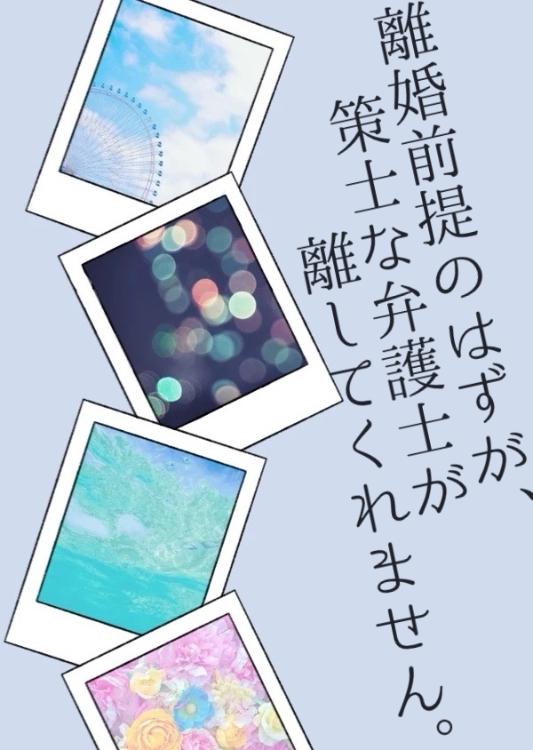 離婚前提のはずが、策士な弁護士が離してくれません。