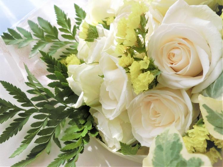 白薔薇園の憂鬱