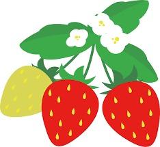 いちごのきもち