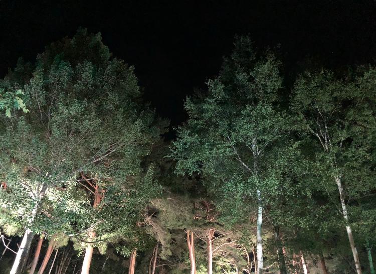 龍神さまのいるところ