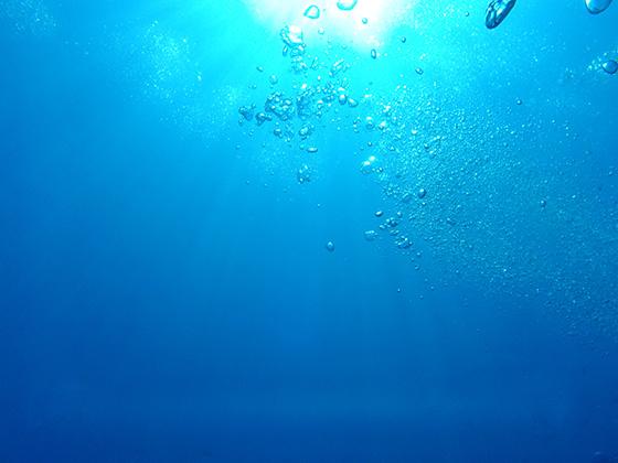 キミと、光の彼方へ。