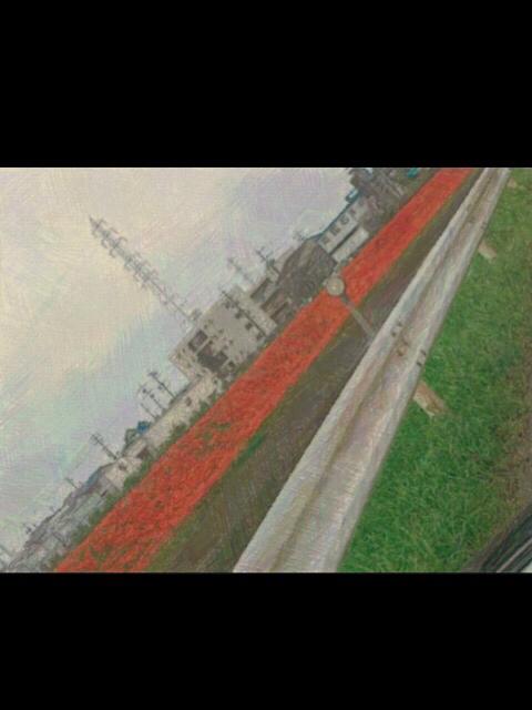 『  ひがんばな。』