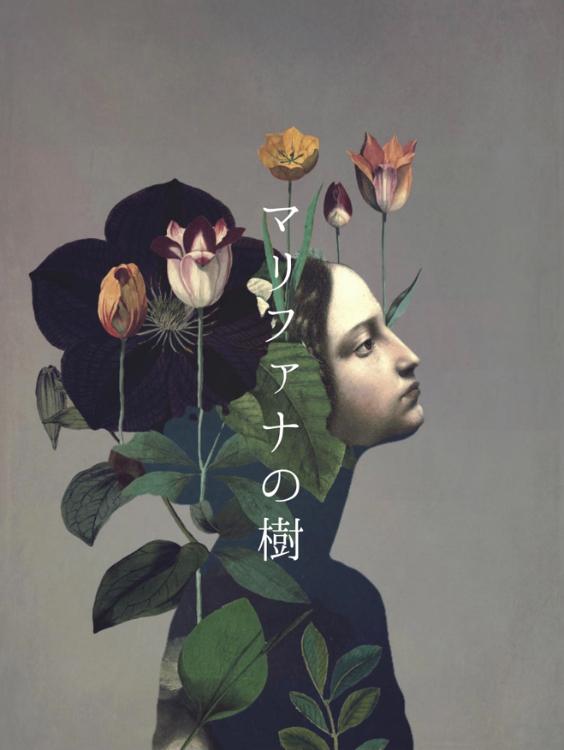 マリファナの樹