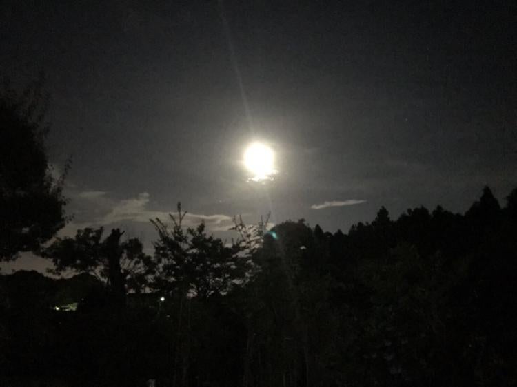 夜空に涙を浮かべて