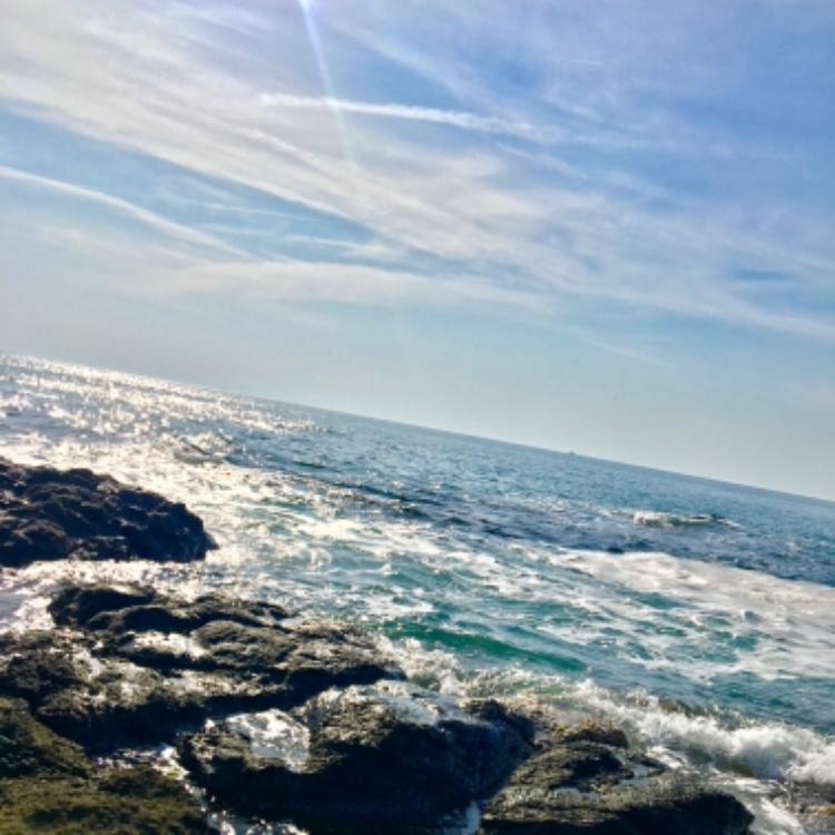 残りわずかなのに