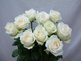 君のいた時を愛して～ I Love You ～