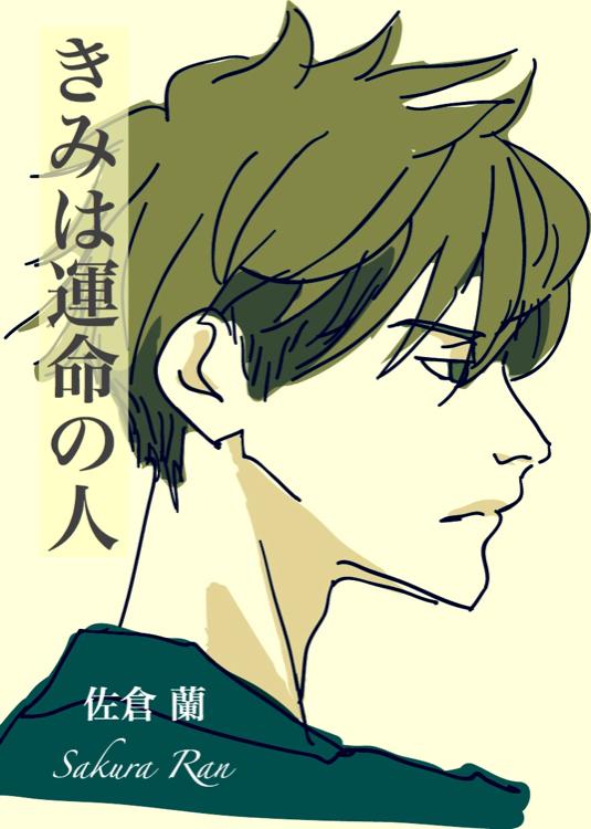 きみは運命の人