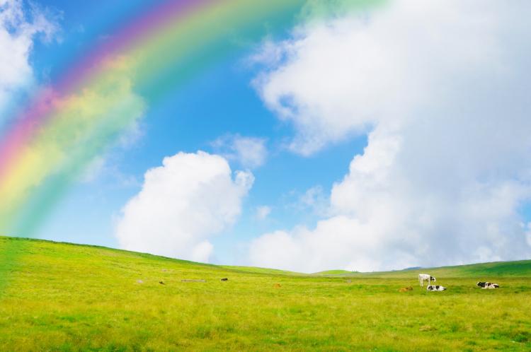 虹の彼方へ～アナウンサー日比谷　蓮～