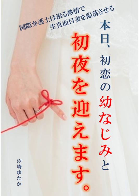 本日、初恋の幼なじみと初夜を迎えます。～国際弁護士は滾る熱情で生真面目妻を陥落させる～