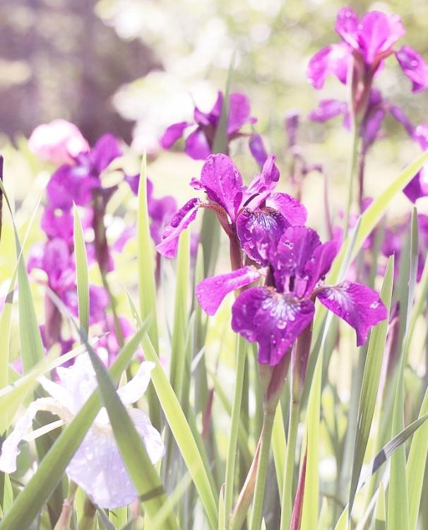 ３年後、あの約束の続き