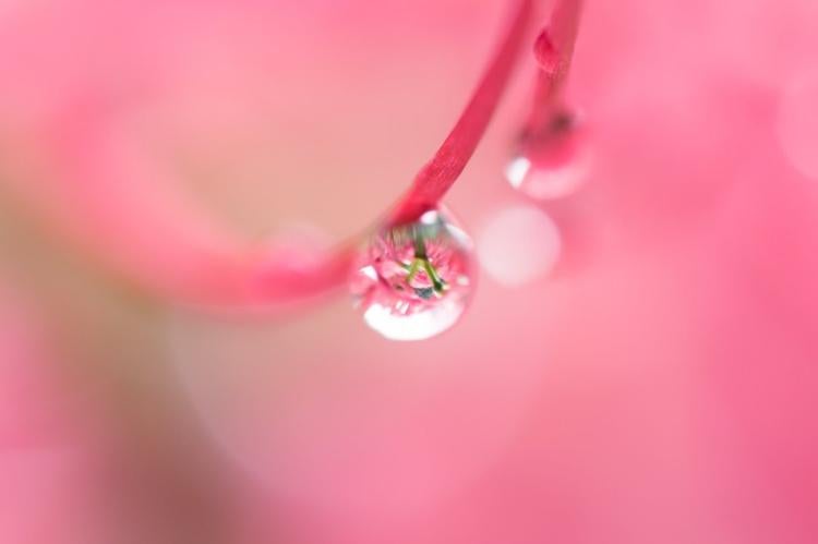 ティアドロップ(短編)