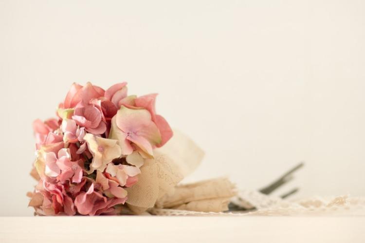 幼なじみの甘い牙に差し押さえられました