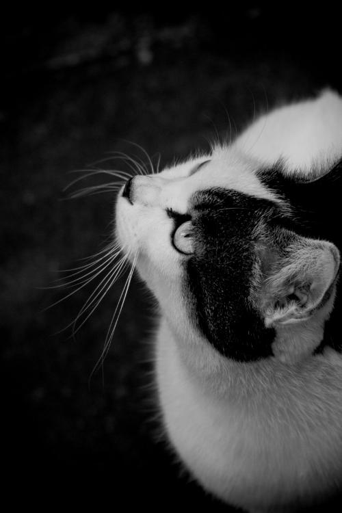 秘密の会議は土曜日に  番外編【限定公開】