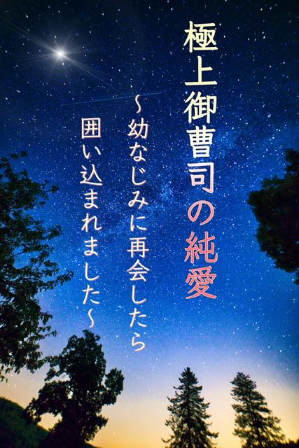 極上御曹司の純愛〜幼なじみに再会したら囲い込まれました〜