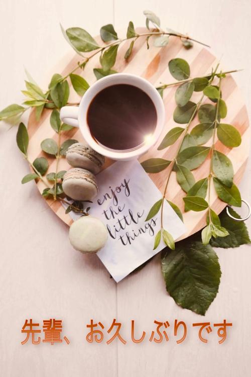 先輩、お久しぶりです