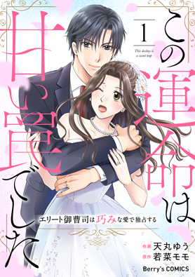 この運命は甘い罠でした~エリート御曹司は巧みな愛で独占する~