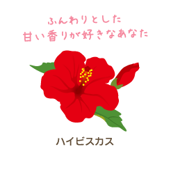 ふんわりした甘い香りが好きなあなた　ハイビスカス